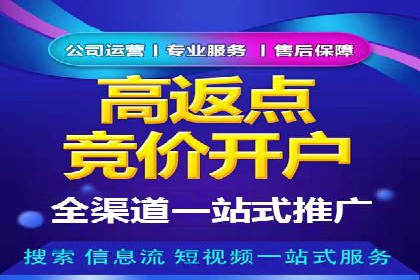 汽车行业SEM服务营销策略及效果展示